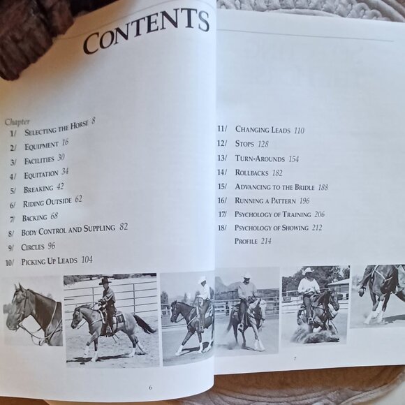 Reining Western Horesman equestrian horse horseback riding - Picture 4 of 4